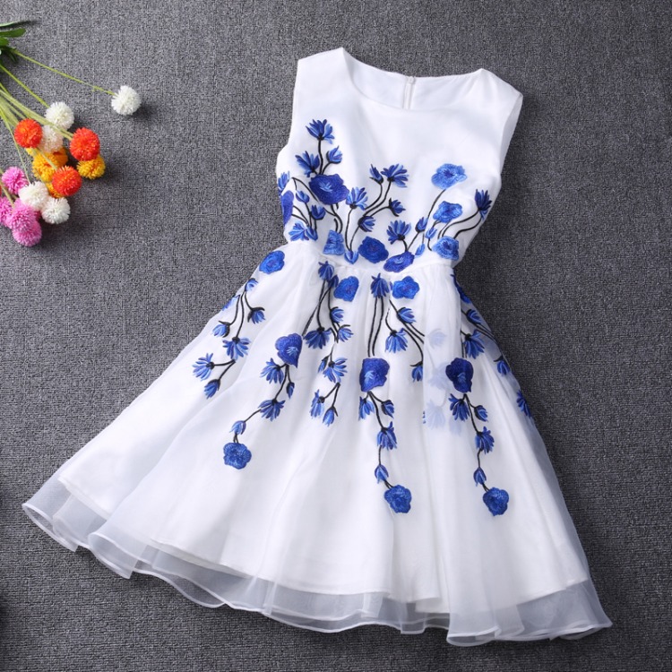 Popular Ladies ' Blue And White Organza Dress [#1206]